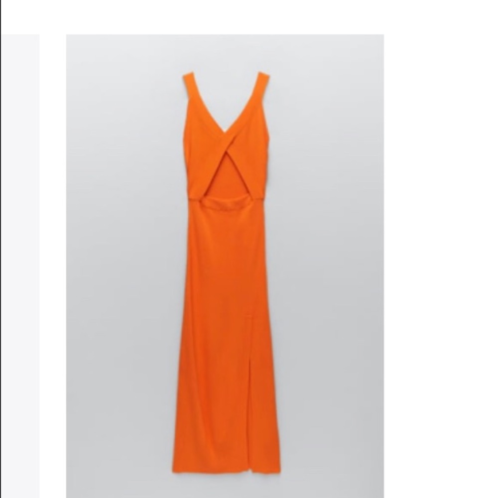 Zara dress